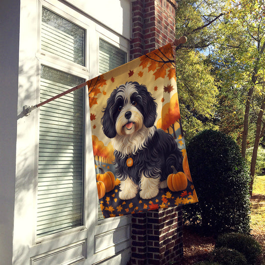From Photo to Blanket: How We Turn Your Pet’s Portrait into Art